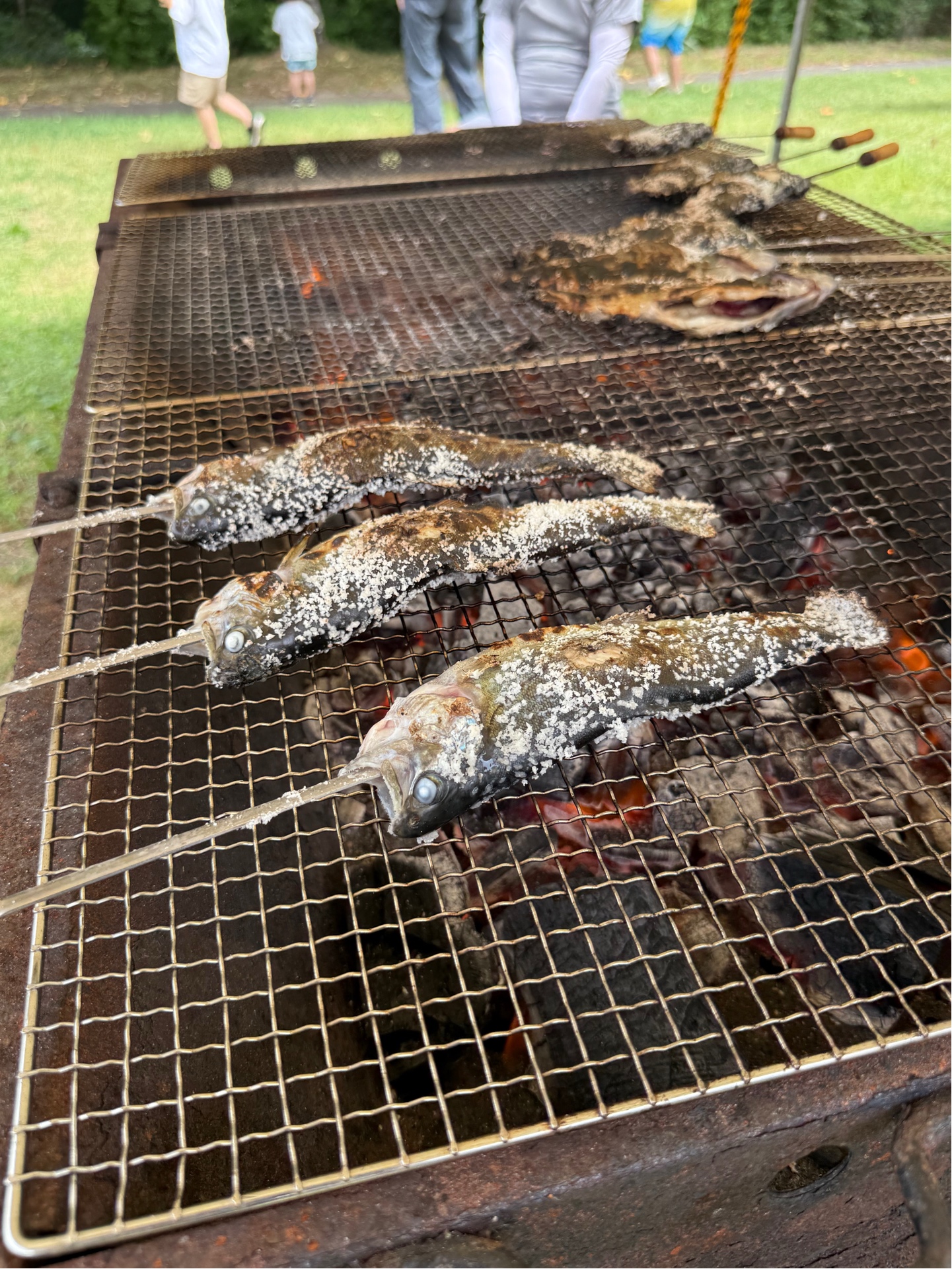 ニジマスの塩焼き